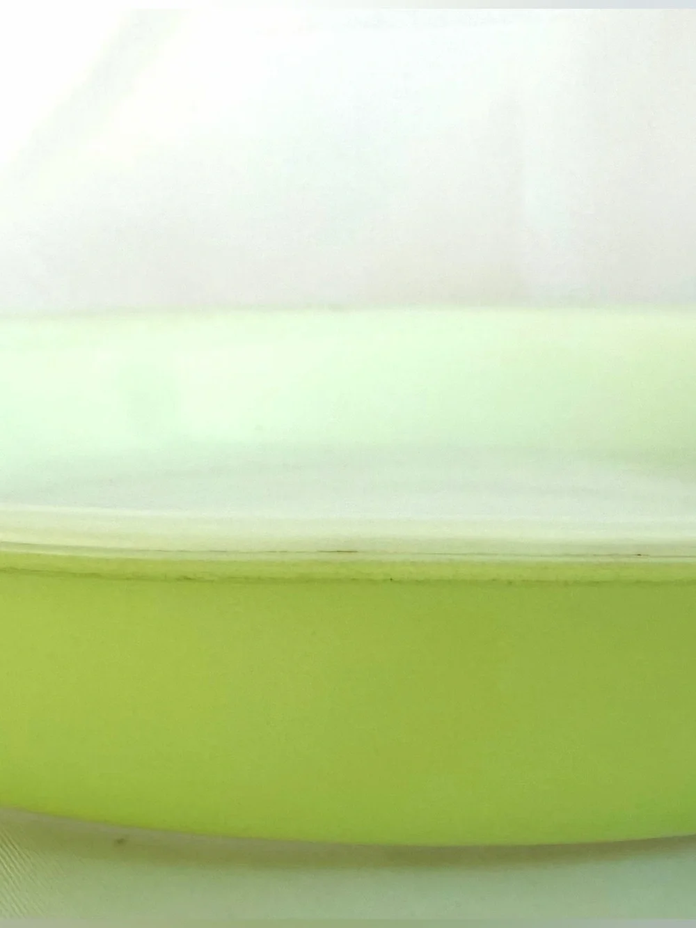 PYREX 1-1/2 Qt Pie Plate Lime Green and White #209 50s Vintage Retro MCM EUC